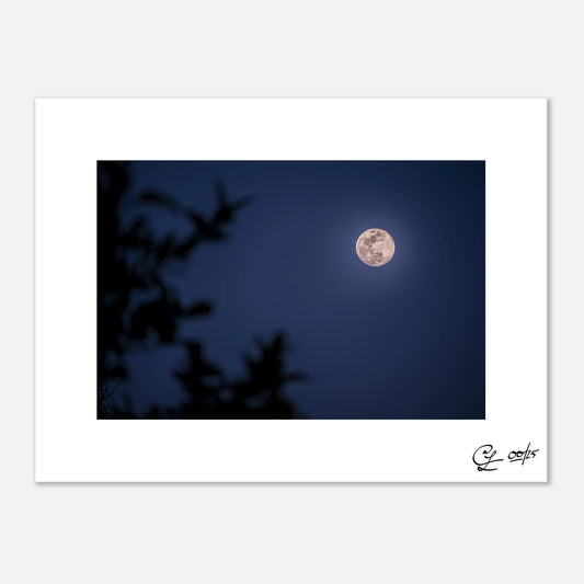 Tides of Light – Signed Fine Art Print
